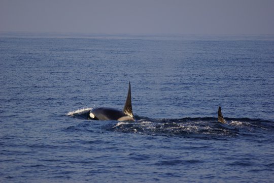 Tour image 5