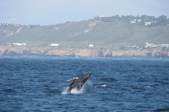 Tour image 3