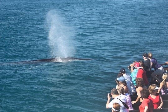 Tour image 2