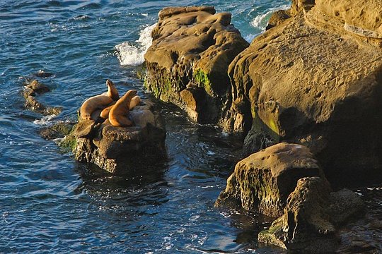Tour image 12