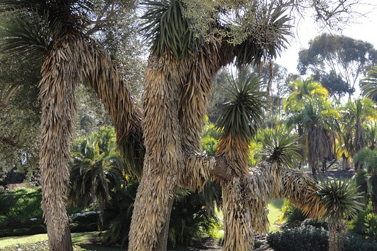 Tour image 7