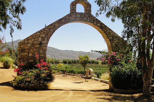 Tour image 8